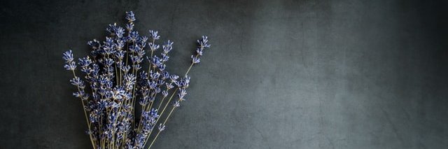 LavNightmares's profile banner image