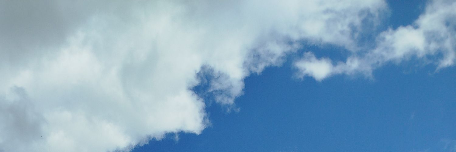 blackkkalien's profile banner image