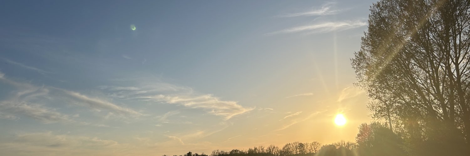 Svetlana's banner