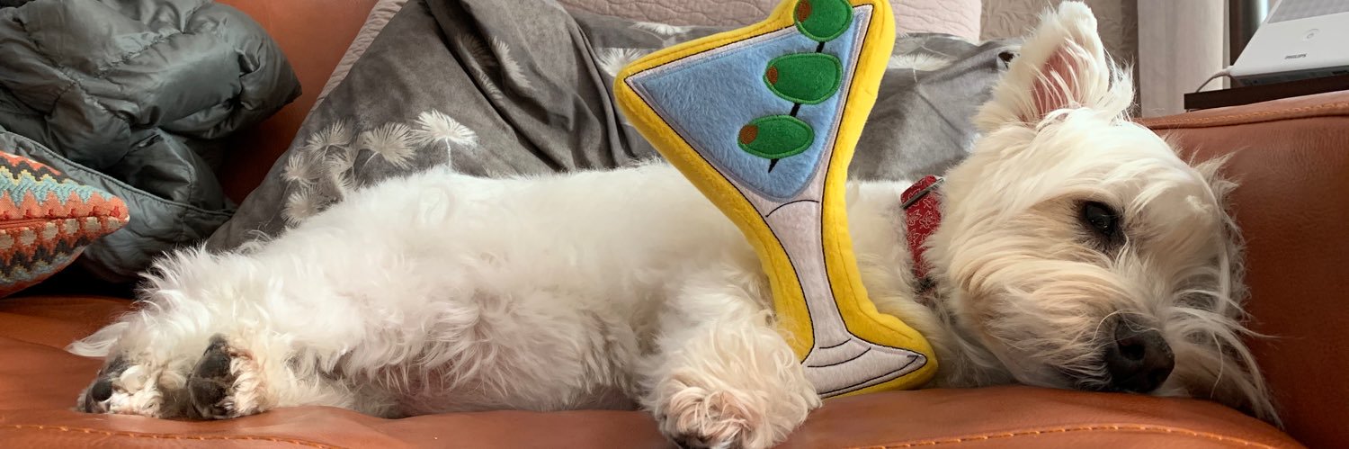 Little White Dog Against Evil 🤬's banner