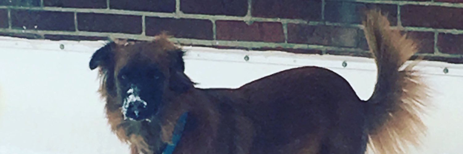 BdeaconstlS's profile banner image
