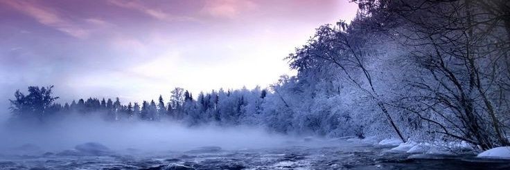 queenenix's profile banner image