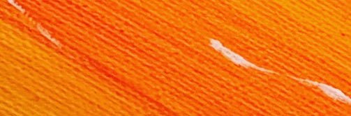 ameyer77's profile banner image