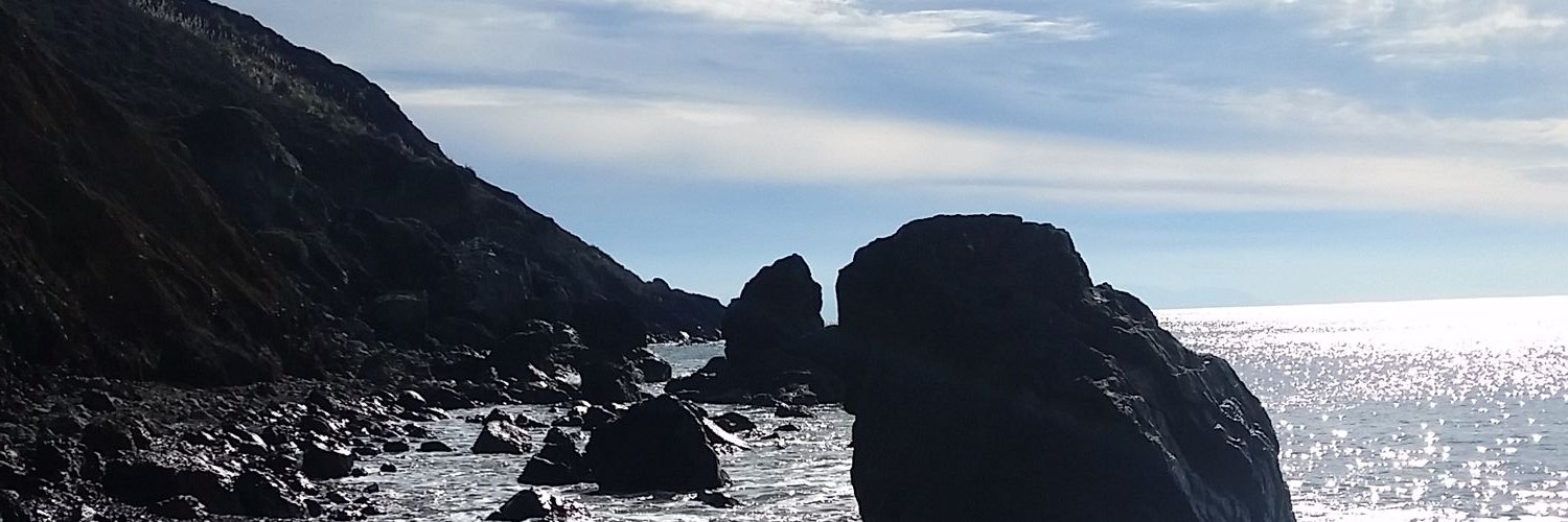 nogotaco's profile banner image