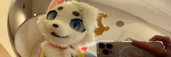 auroramrowr Profile Banner