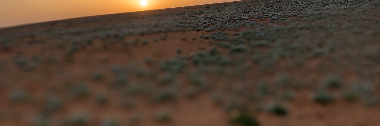 fozy15376126's profile banner image