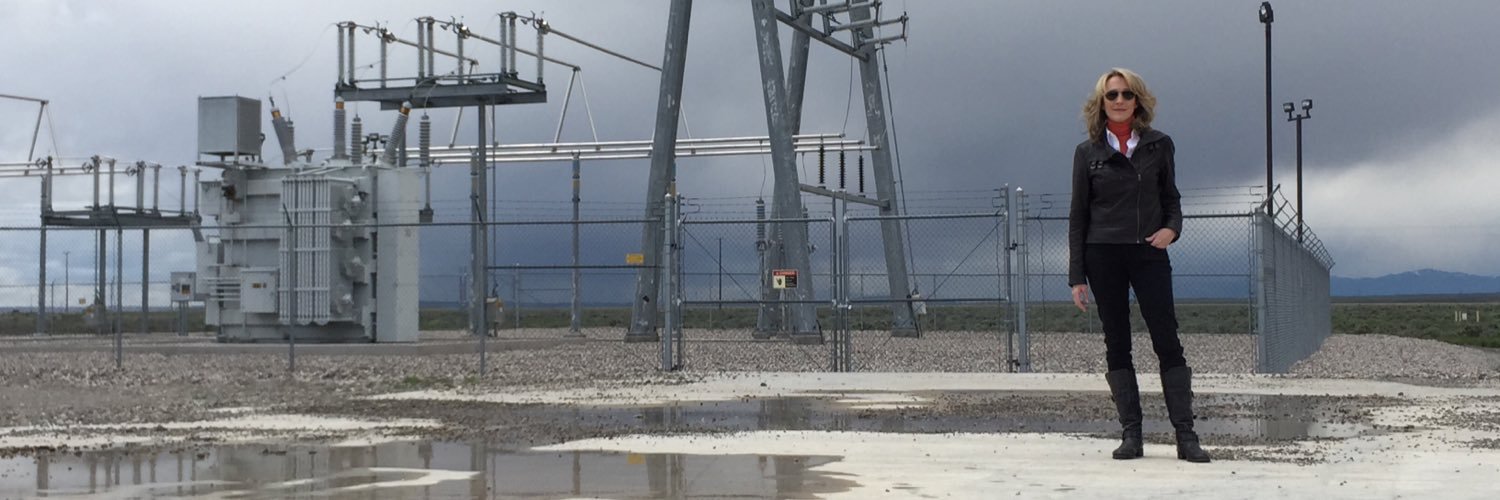 Deborah Feyerick banner