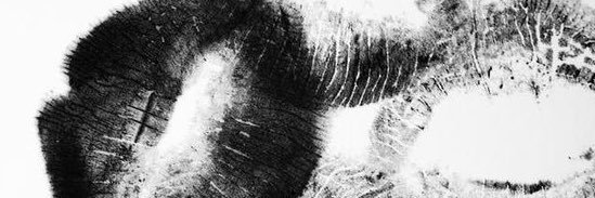 t ᥫ᭡ banner