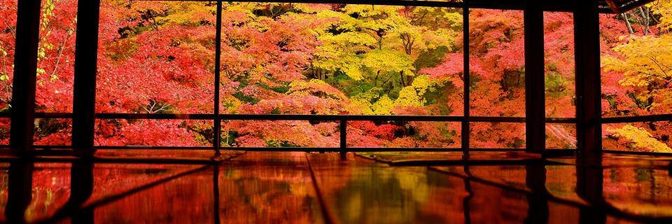 oNi_LeO's profile banner image