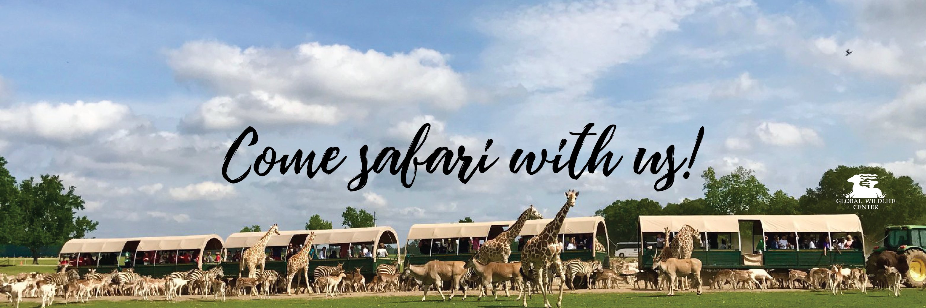 GlobalWildlife's profile banner image