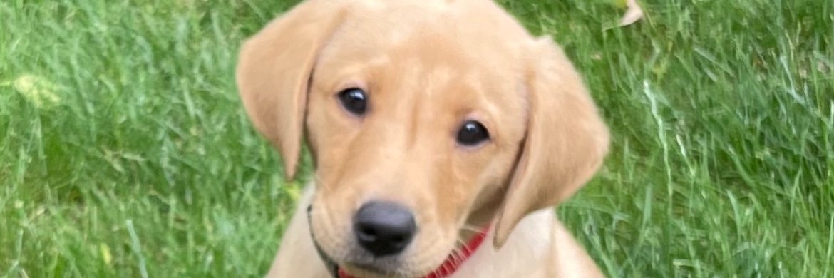 cmatuskamd's profile banner image