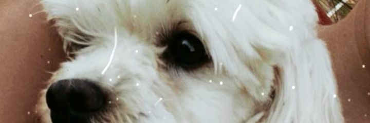 MartiGallicet's profile banner image
