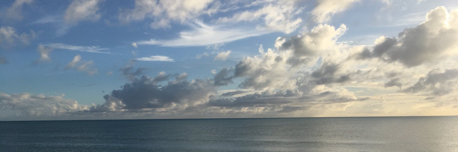 NilaTCI's profile banner image