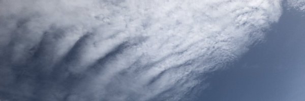 ChessinSaul Profile Banner