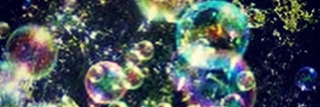 _lusecco's profile banner image