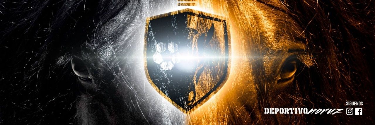 daniel_landap's profile banner image