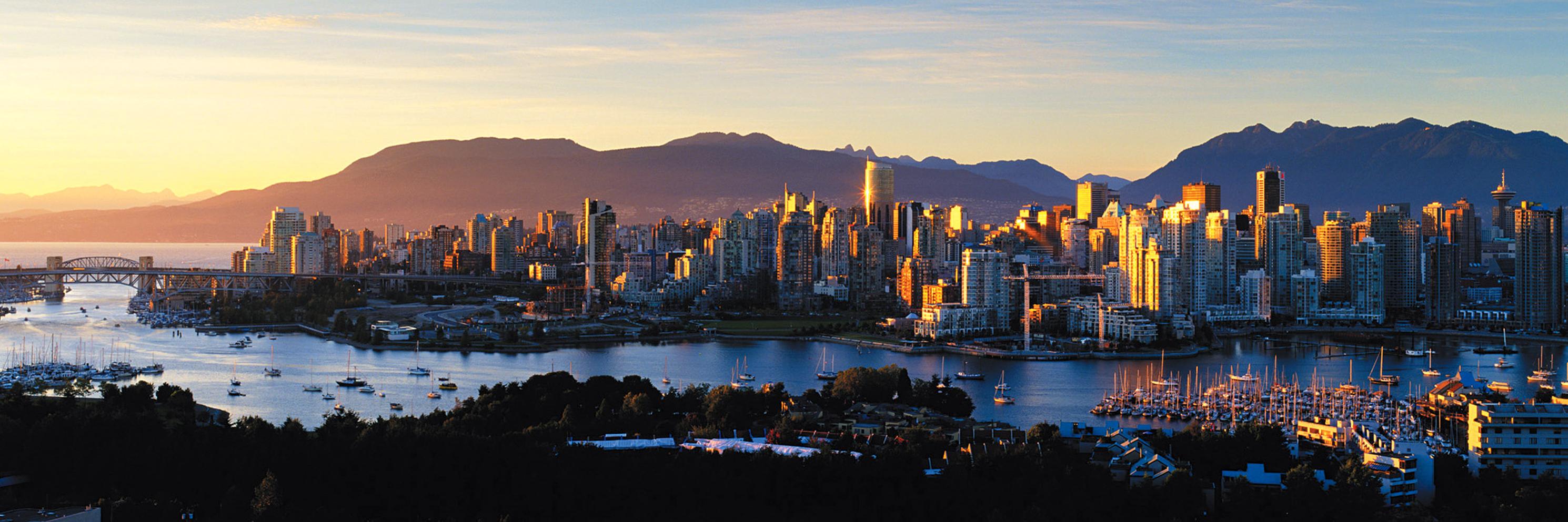 St John Alexander banner