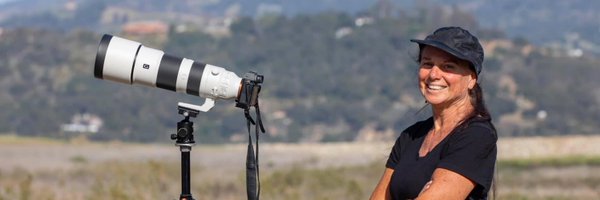 CahillCarla Profile Banner