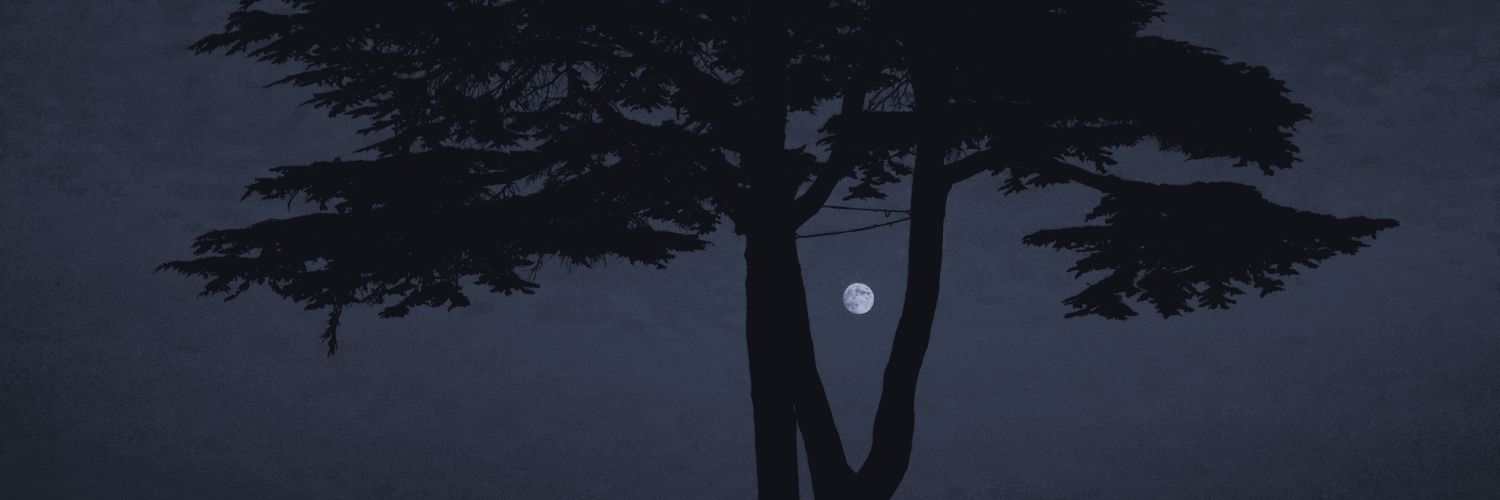 RuefulCatbatAD's profile banner image