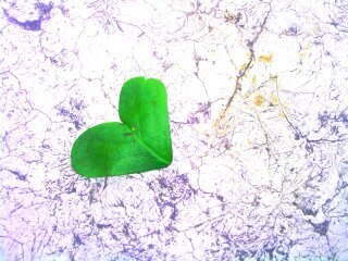 Mrocy_'s profile banner image