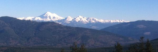 __Goodwin Profile Banner