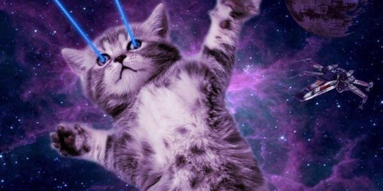 pia_lexander's profile banner image