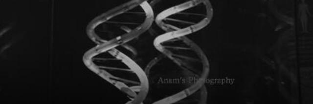 anam_annam's profile banner image