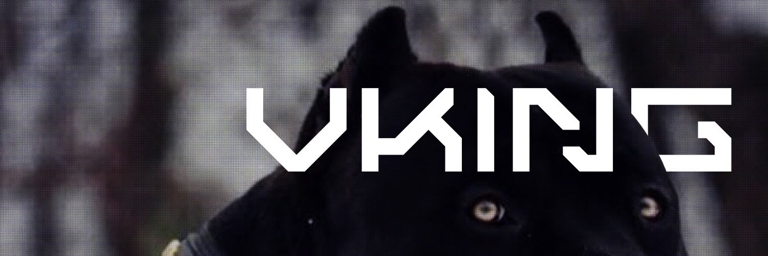 0xVKING.dawg banner