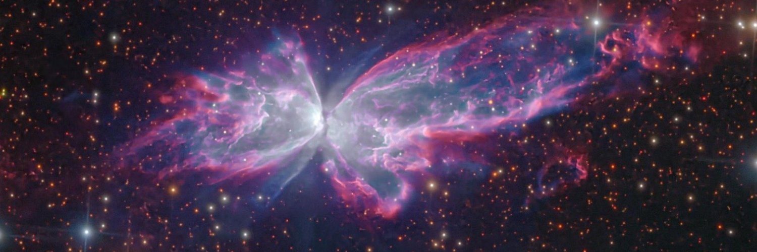 ɐɯnǝɐɹʇlǝʍ𑜾 banner