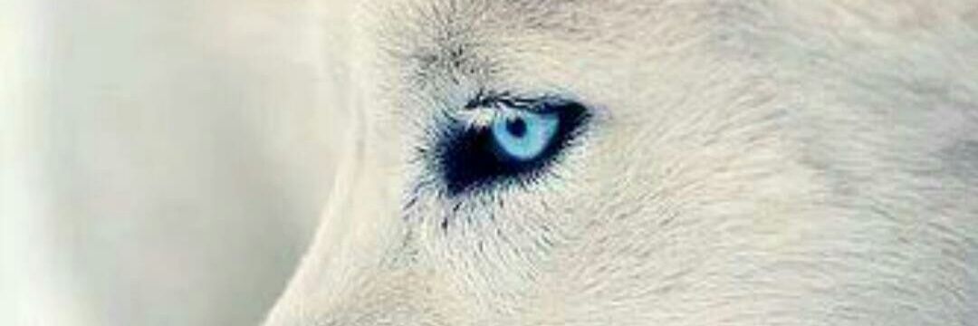 jairo_lopez97's profile banner image