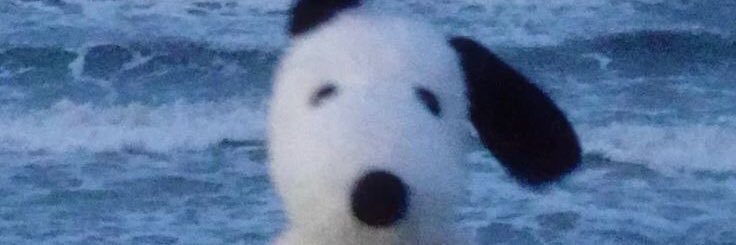 Haizz97's profile banner image