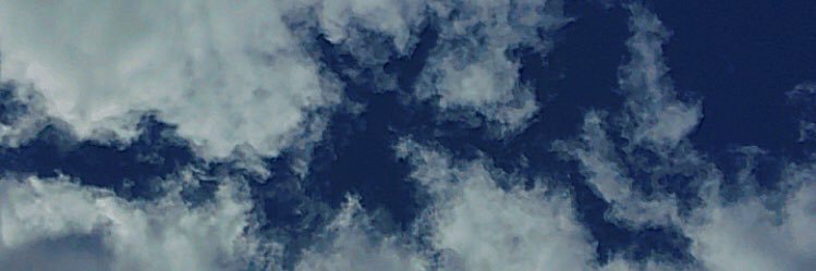 Carolinnaalv's profile banner image
