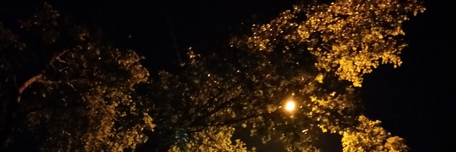 Diminatin's profile banner image