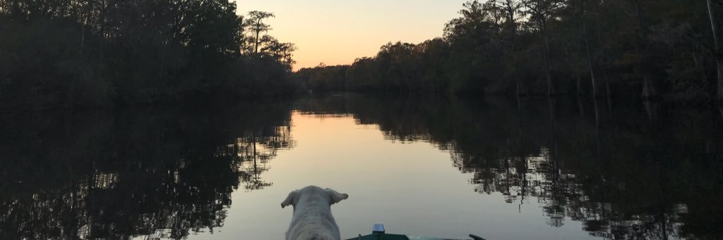 Timmygrin's profile banner image