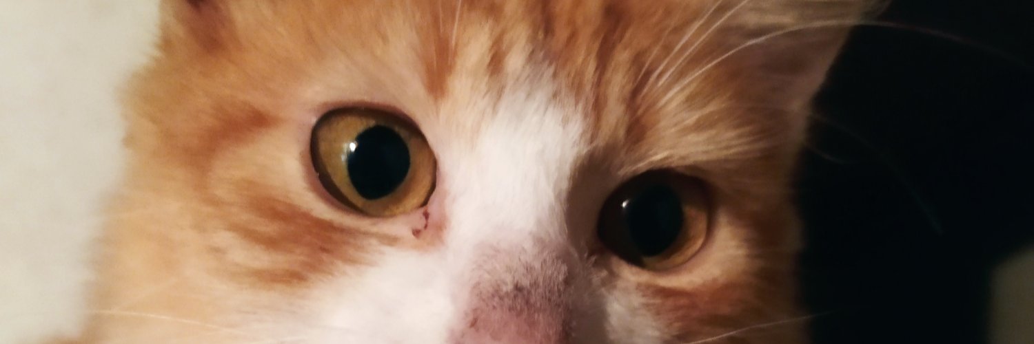 supranoblack's profile banner image