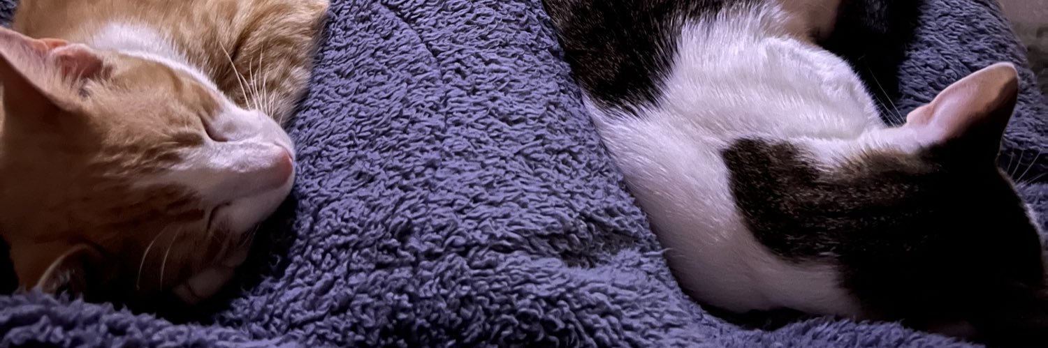 CamiRossi17's profile banner image