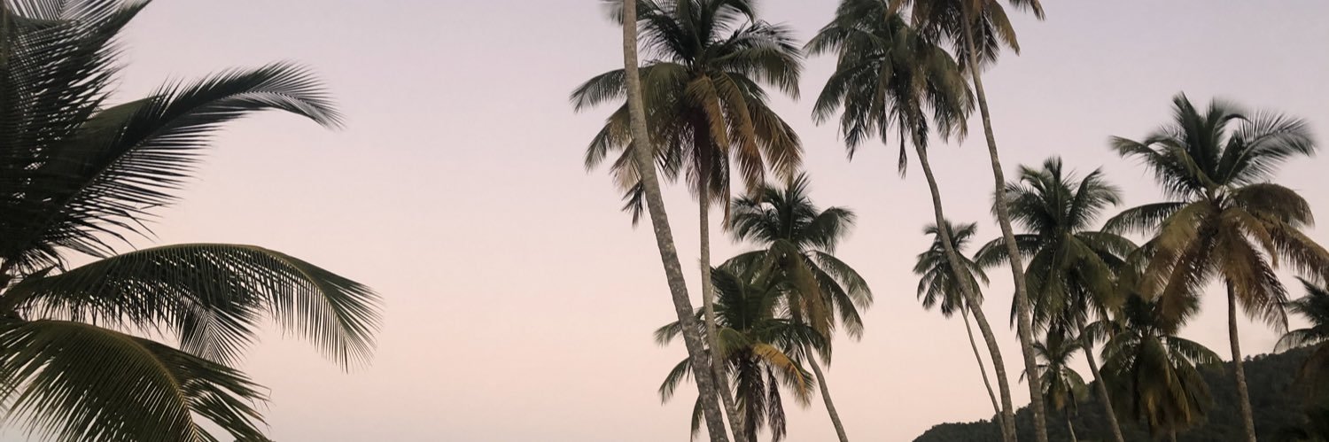 cecesosweet21's profile banner image