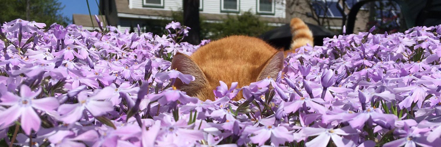 _maddie46's profile banner image