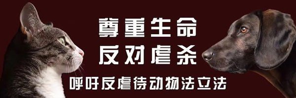FGuardiansJapan Profile Banner