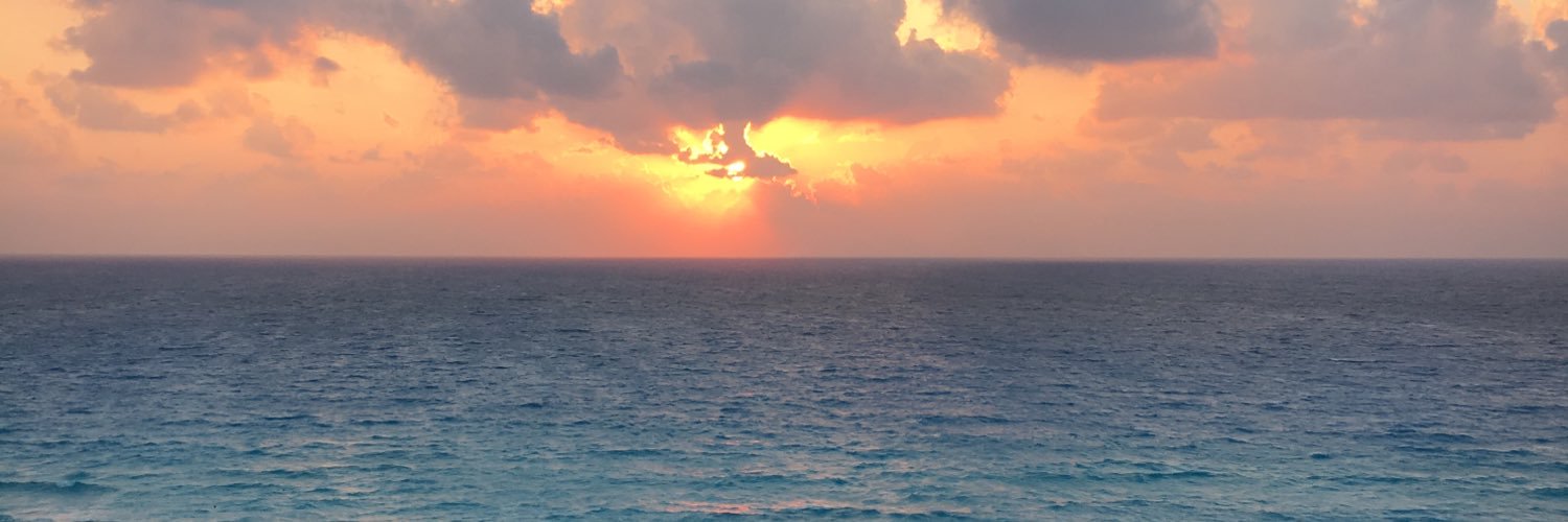 Trii_yonce's profile banner image