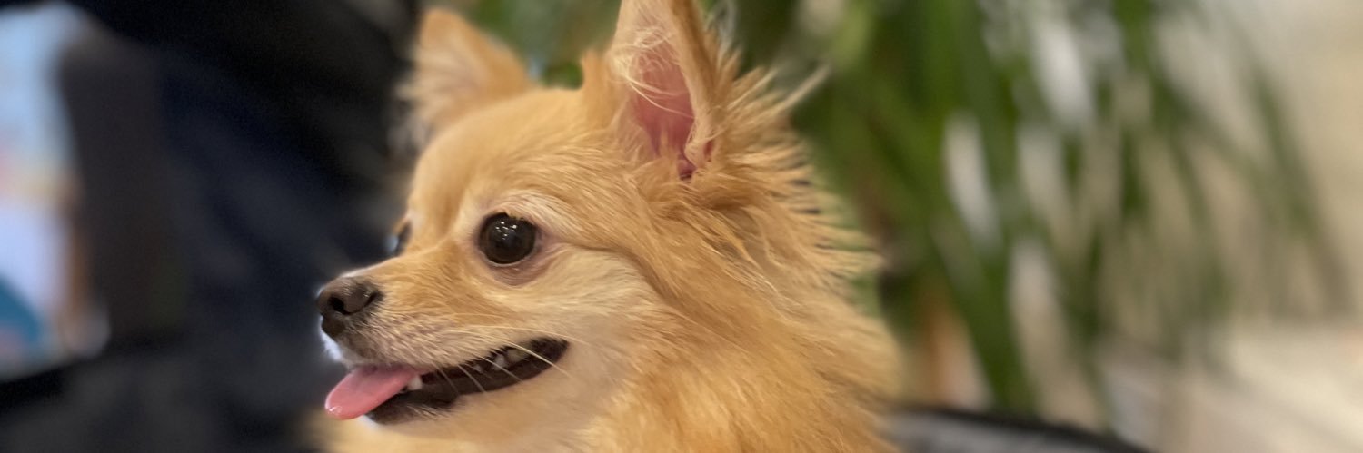 ramupome's profile banner image