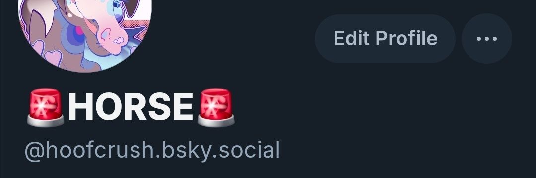 on that other site banner