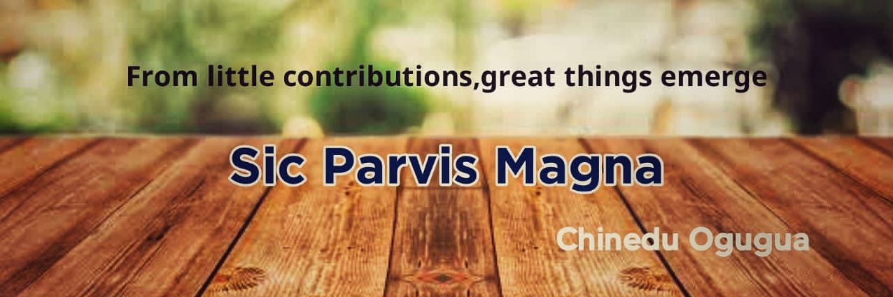 Chinedu Ogugua {Eze anya na ene} banner