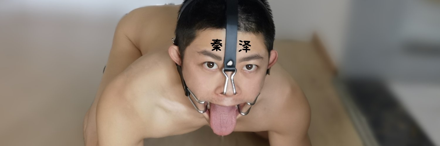 家犬秦泽 banner