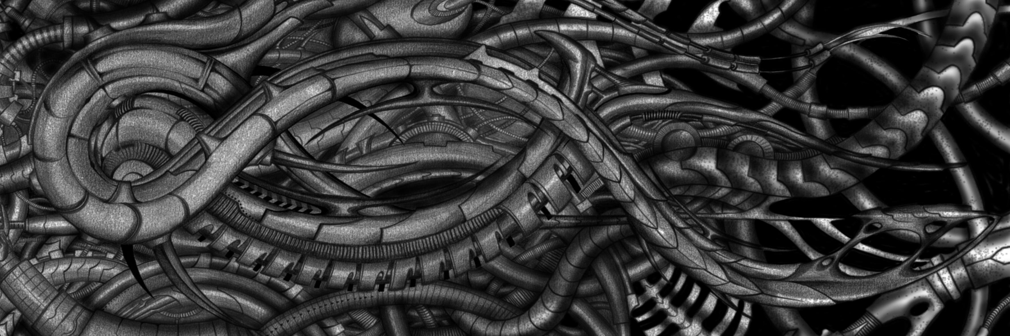oorganismaa's profile banner image