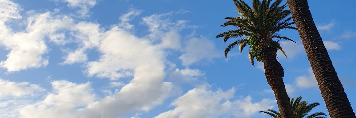 Shazakes's profile banner image
