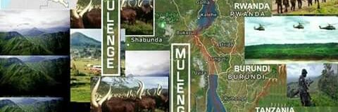 Mulenge Twigwaneho banner