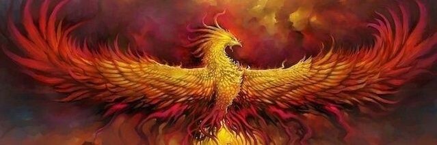 Black Hawk banner