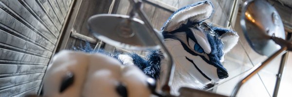 tadano_kemono Profile Banner