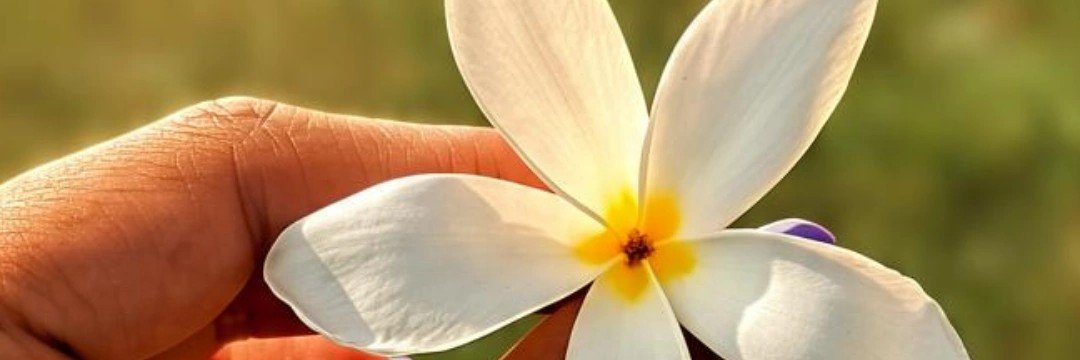 _Devvvuu's profile banner image